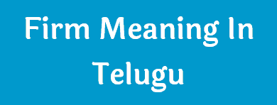 firm meaning in telugu