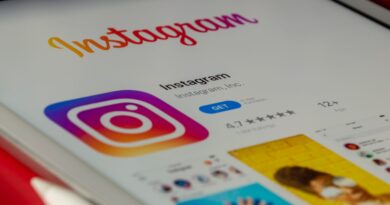 Dumpor - A Free Instagram Story Viewer