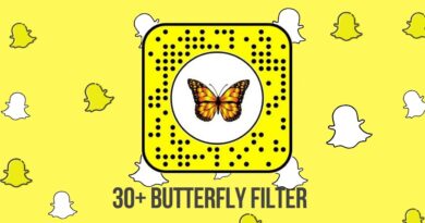 Unlock the Butterflies Lens on Snapchat